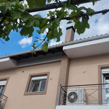 Voula Home -Ioannina-Neokesaria Dış mekan fotoğraf